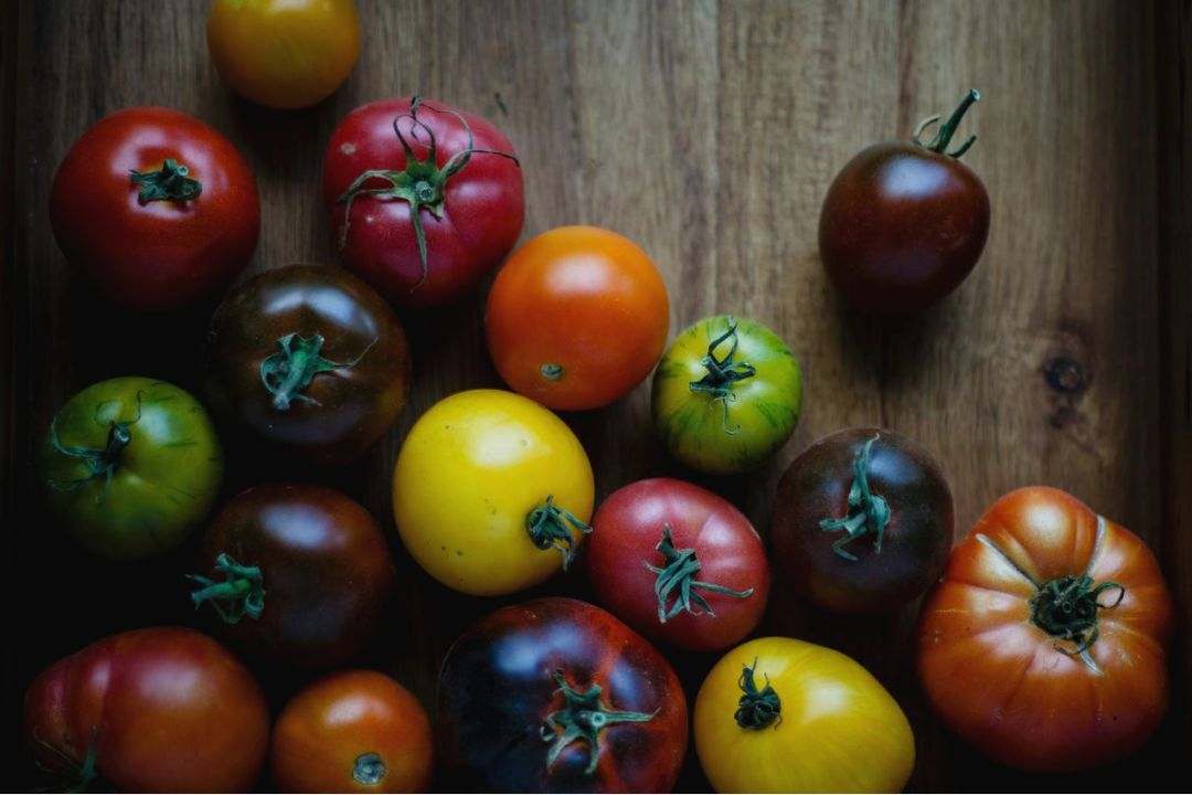 Création culinaire Mondeemotions